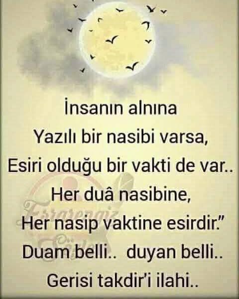 Öne Çıkan Resim