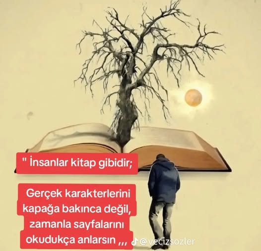 Next Post Image