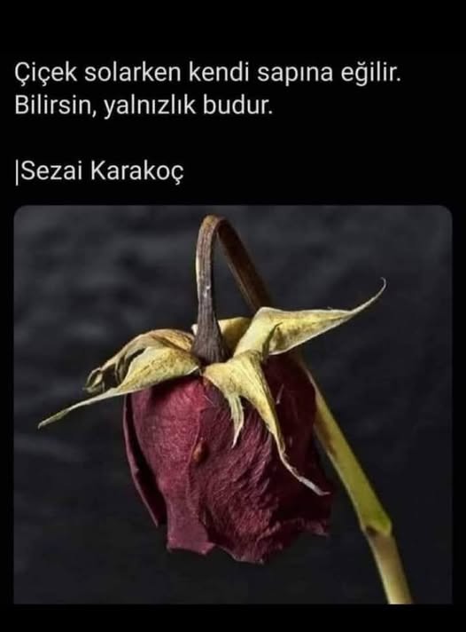 Previous Post Image